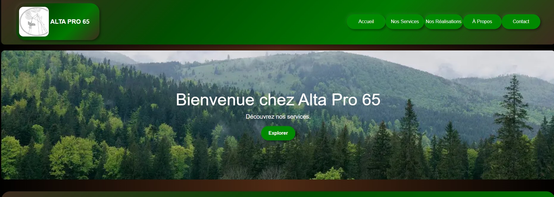 AltaPro 65